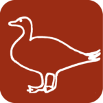 birds-goose